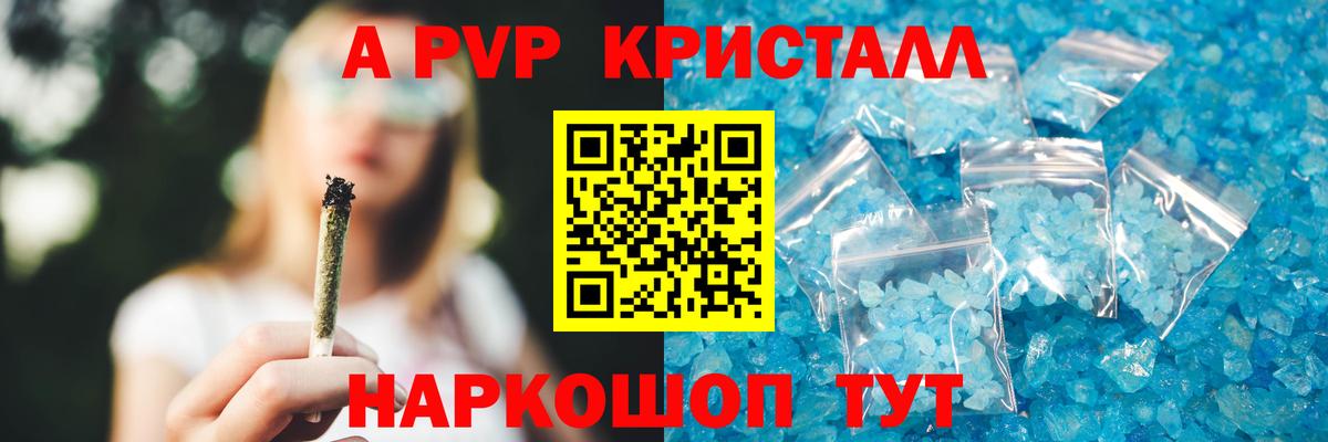 A PVP СК КРИС  APVP крисы CK  Вход с VPN  Тосно 