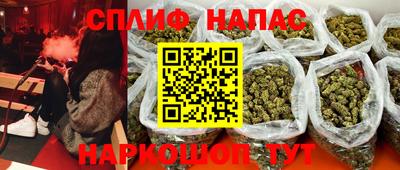 индика Кандалакша
