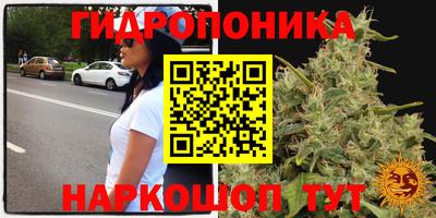 индика Кандалакша