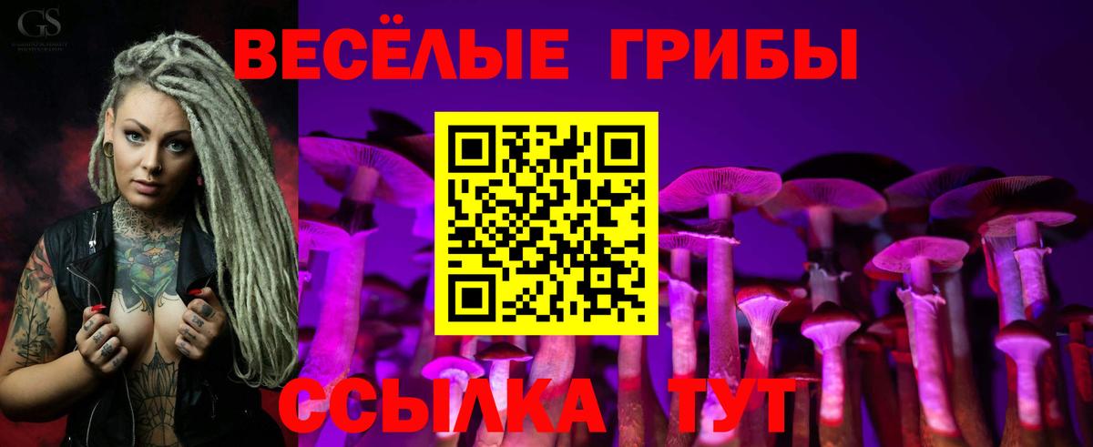 Тосно  Псилоцибиновые грибы Psilocybine cubensis  Вход с VPN 